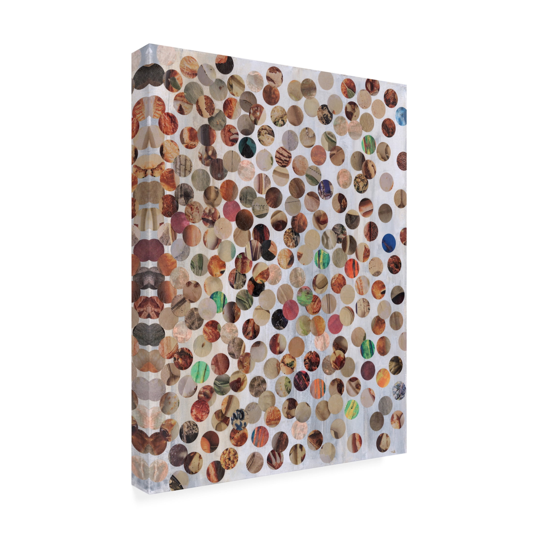 Trademark Fine Art Natalie Avondet 100 Pennies I Canvas Wall Art