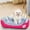 Hot Pink #0, variant on Vaidha Dog Beds For Medium Dogs Washable Dog Bed Comfortable And Breathable Pet Bed Rectangle Warming Dog Bed For Medium Dogs