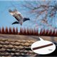 thumbnail image 5 of 12 piezas de plástico para pájaros, , palomas, gato, pájaro carpintero, de animales para exteriores, paredes, para s y Baoblaze picos de pájaro, 5 of 8