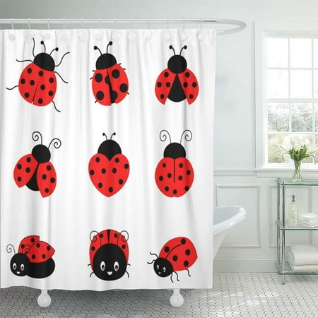 Pknmt Red Bug Cute Colorful Ladybugs Clipart Collection White Lady
