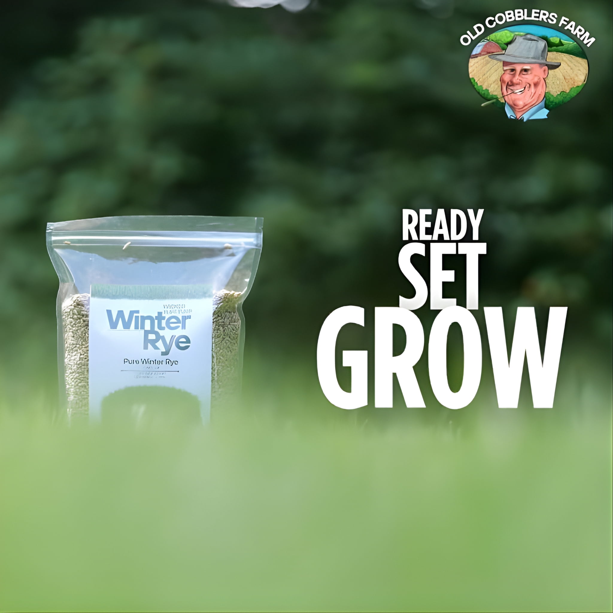 Old Cobblers Farm™ Wicked Tuff Turf Winter Rye Grass Seed Grass, 10lbs