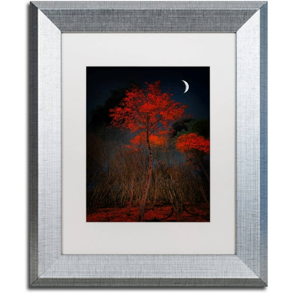 Trademark Fine Art "The Why" Canvas Art by Philippe Sainte-Laudy White Matte, Silver Frame