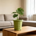 thumbnail image 4 of Linnome Thickened Root Control Breathable Round Planter Anti-Waterlogging Anti Root Rot Plastic Houseplant Pot for Balcony Indoor Greenery, 4 of 6