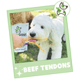 thumbnail image 7 of Nature Gnaws Natural Mixed Beef Tendon & Paddywack Chews for Dogs (1 lb) Rawhide-Free Pet Treats, 7 of 7