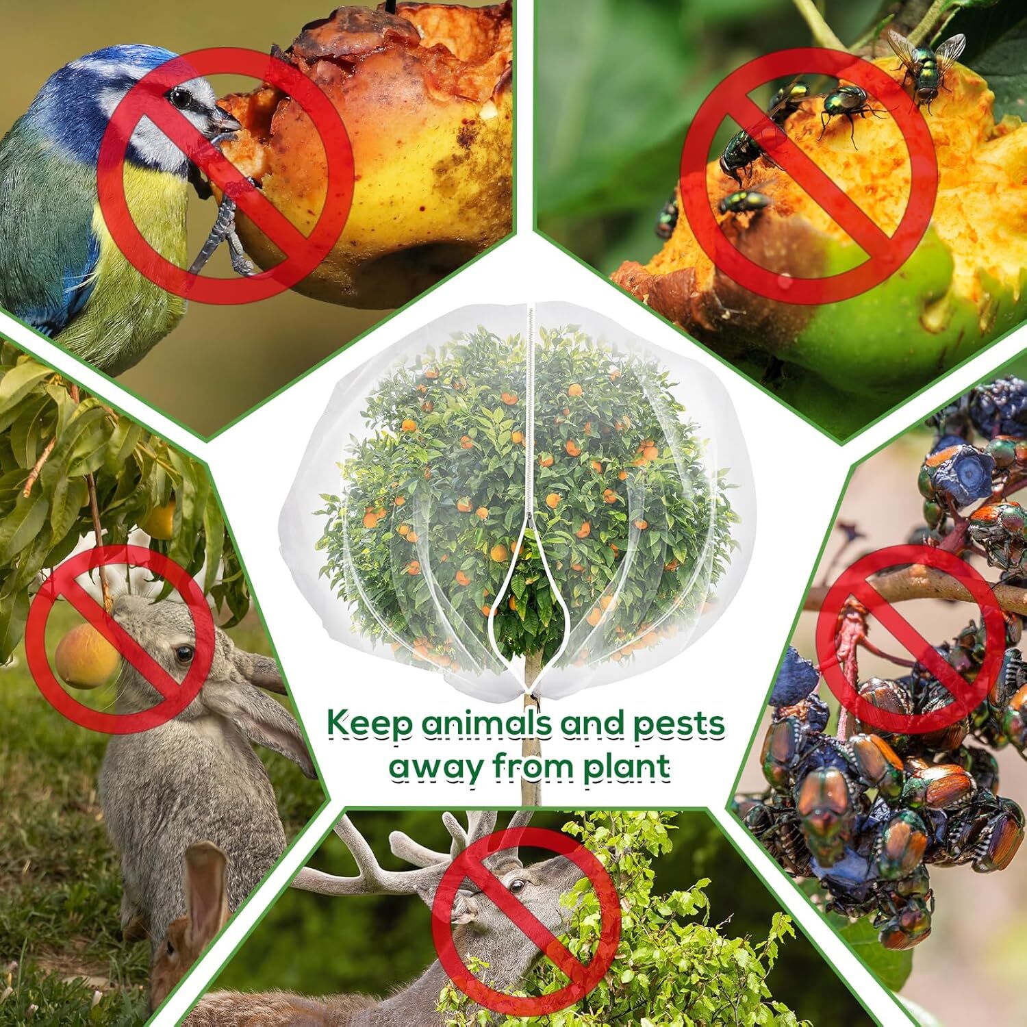 LQQBOX 1 Pack 7.87 x 7.87ft Fruits Tree Netting, Insect Bird Barrier Tree Net with Drawstring and Zipper, Plant Cover Fruit Tree Protection to Prevent Tomato Blueberry Vegetables from Squirrels Birds