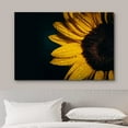 thumbnail image 3 of wall26 Canvas Print Wall Art Close Up Detail Autumn Raindrop Sunflower Nature Floral Photography Realism Botanical Wilderness Zen Rustic Colorful Decorative for Living Room, Bedroom, Office - 24&quot, 3 of 5