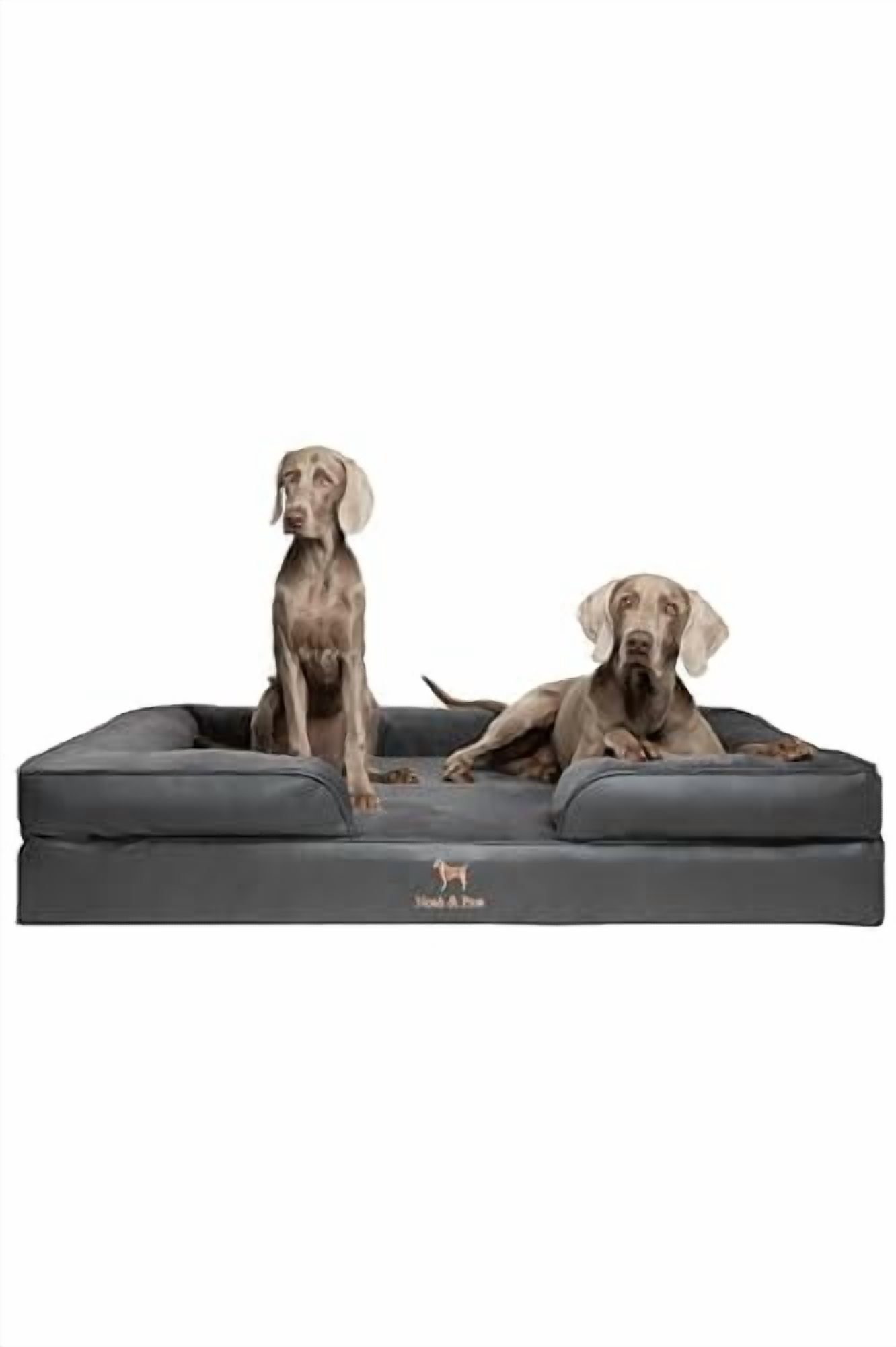 NOAH & PAW Giant Dog Bed XXL 55x45x11 Inch, Orthopedic Dog Beds, Eggshell Memory Foam Infused with Cooling Gel, Waterproof, Machine Washable, Includes Inner Cover (Vegan Leather)