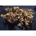 thumbnail image 3 of Babys Breath Silk Artificial Flowers 6 Bundle European Fake Plants Decor Wedding Party Fall Stems Decoration Bouquets DIY Home Garden (Beige Brown-6pcs), 3 of 5