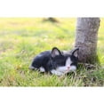 thumbnail image 2 of Hi- Line Gift 87699-B Kitten Sleeping Black & White Cat Statue, 2 of 7