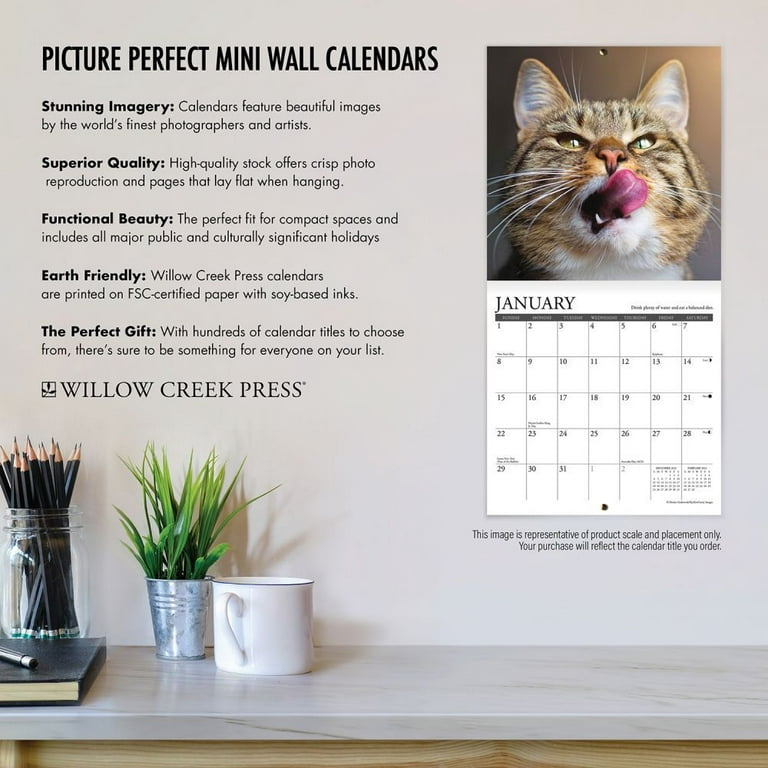 Simon's Cat 2023 Wall Calendar (Other) 