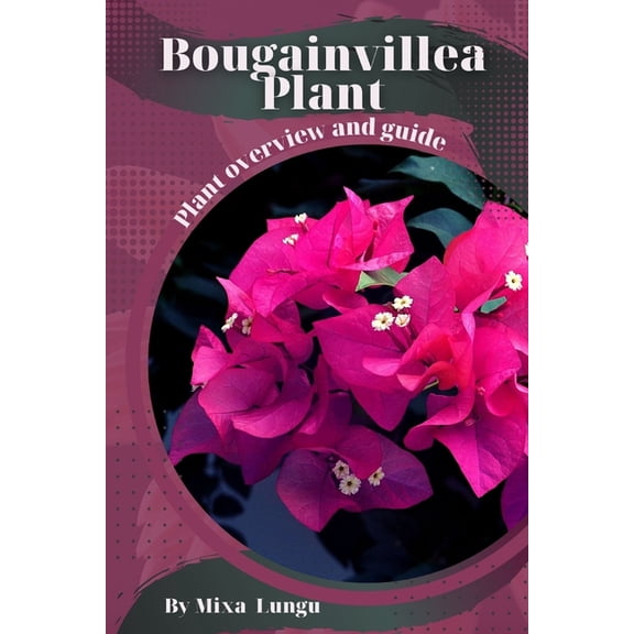 Bougainvillea Plant: Plant overview and guide, (Paperback)