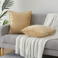 thumbnail image 2 of 2 Pcs Velvet Throw Pillow Covers, Soft Jacquard Throw Pillow Case Cushion Case, 2 of 7