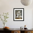 thumbnail image 4 of Audubon Gull, Animals Framed Art Print Wall Art by John James Audubon Sold by Art.Com, 4 of 6