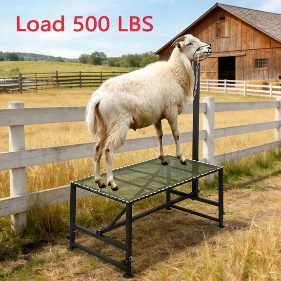 Goat & Sheep Stand with Adjustable Headpiece & Legs, Heavy Duty Livestock Stand, 47x23 inch Goat Milking Stand, Goat Stanchion for Animal Trimming