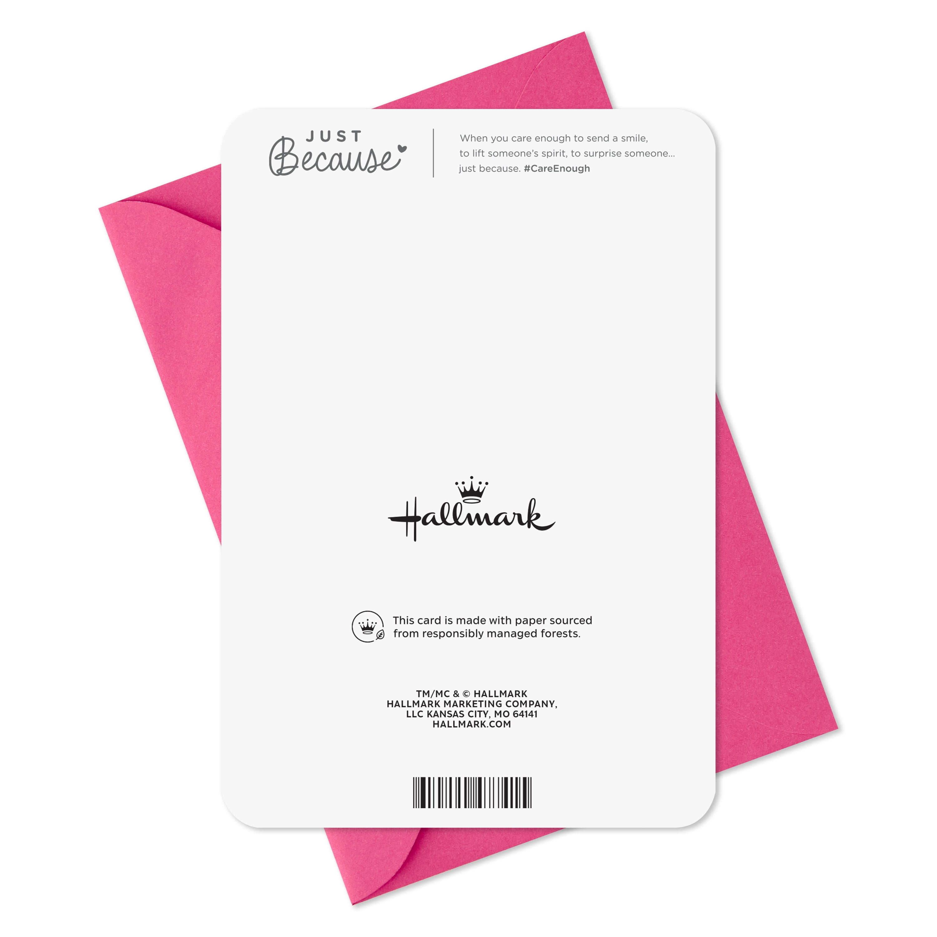 Hallmark Just Because Love Card (Every Single Thing)