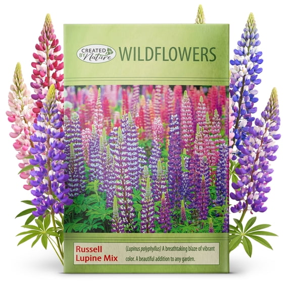 Created By Nature Russell Lupine Seeds, Blue, Purple, Pink, and White Wildflower Mix, Pollinator Seed Mix, 750 Perennial Flower Seeds, Covers Up to 100 sq. ft. (Lupinus polyphyllus)