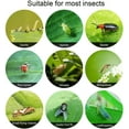 thumbnail image 5 of Visland 10PCS Sticky Traps Fly Paper, Dual-Sided Fruit Fly Traps Fungus Gnat Trap Killer for Outdoor Pest Insects Catcher, 5 of 6