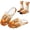 Fall Cat Pumpkin, variant on Blue Nutcracker Home House Shoes Matching Socks Set