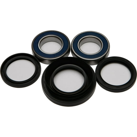All Balls 25-1029 Wheel Bearing & Seal Kit