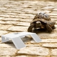 thumbnail image 2 of Plataforma de descanso para tortugas trepadoras Tanque para tortugas Terraza flotante para descanso de tortugas, 2 of 7