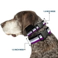 thumbnail image 2 of Buckle-Down Pet Collar, Dog Collar Plastic Buckle, Flag Asexual Black Gray White Purple, 11 to 16.5 Inches 1.0 Inch Wide, 2 of 8