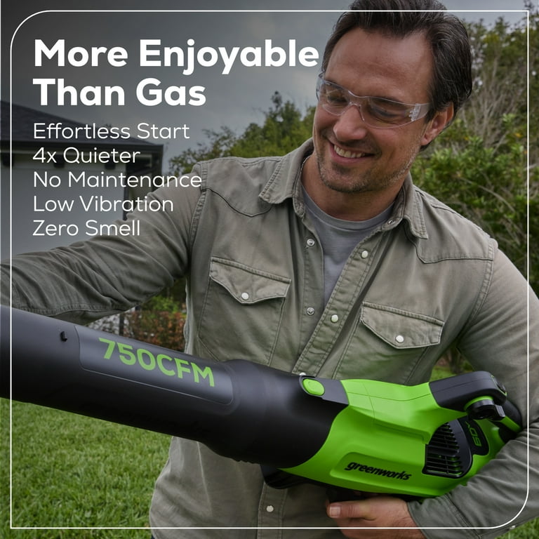 Home depot greenworks leaf blower sale