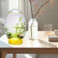 thumbnail image 2 of Mini Small Desktop Aquarium Glass Fish Tank Eco Aquarium Amibious, 2 of 8
