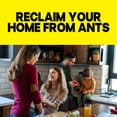 thumbnail image 5 of Raid Ant Killer 26, Insecticide Spray for Home, Pine Forest Fresh Scent, 17.5 oz, 5 of 14