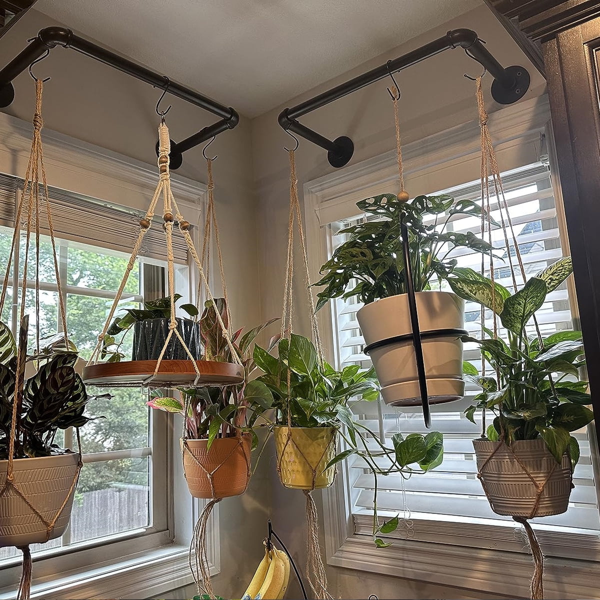 Sigrena 38" Hanging Planter Bar for Indoor Plant Window Hanging Plant Shelf Plant Hanging Rod (Pot & Plant Not Included)