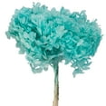 thumbnail image 2 of Vickerman 15" Turquoise Hydrangea with Multiple Branch Segments, Preserved, 2 of 4