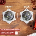 thumbnail image 3 of 3drose, Usa, Kansas. Oscar Resting, House Cat., 3 inch Snowflake Porcelain Ornament, 3 of 7