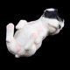 thumbnail image 2 of 2 Piezas De Plástico Animal Niño Juguete Mascota Perro Modelo Coleccionables, 2 of 9