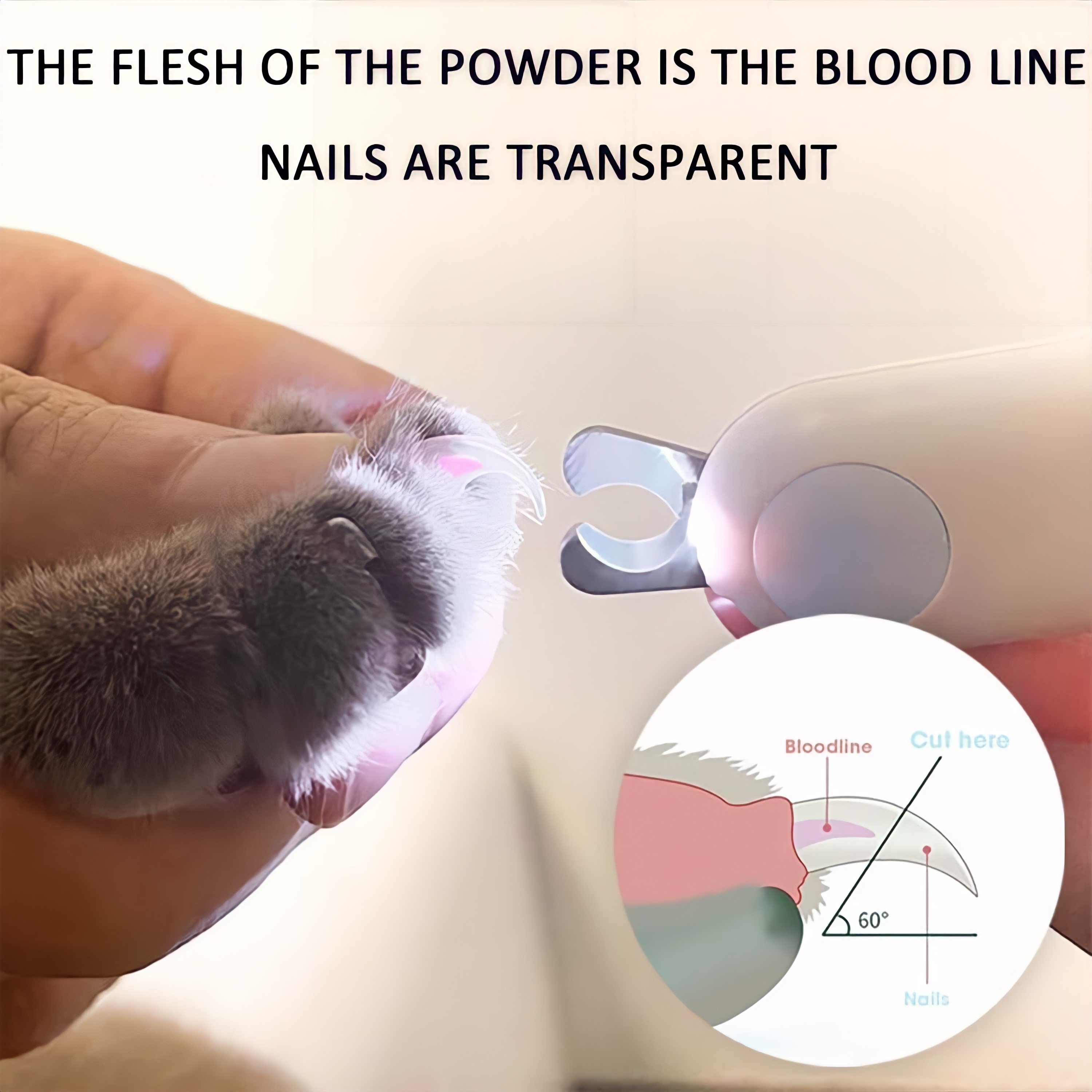 OAZOUF Cat Nail Clippers with LED Light photo 7