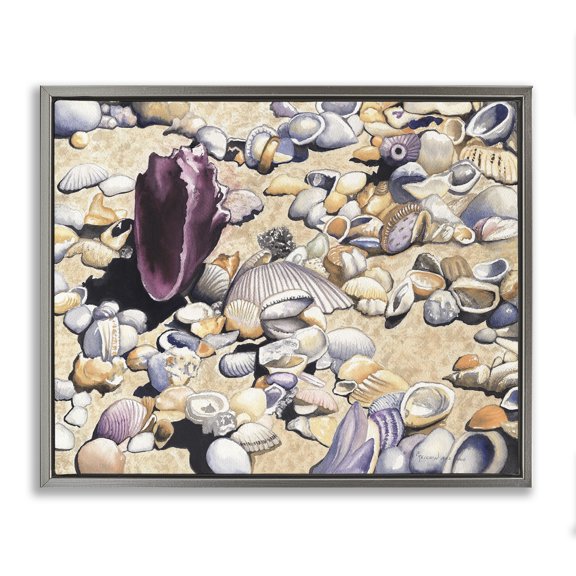 Stupell Industries Traditional Various Seashells on Coast Gray Floating Frame Canvas Art, 21 x 17, by Christine Reichow