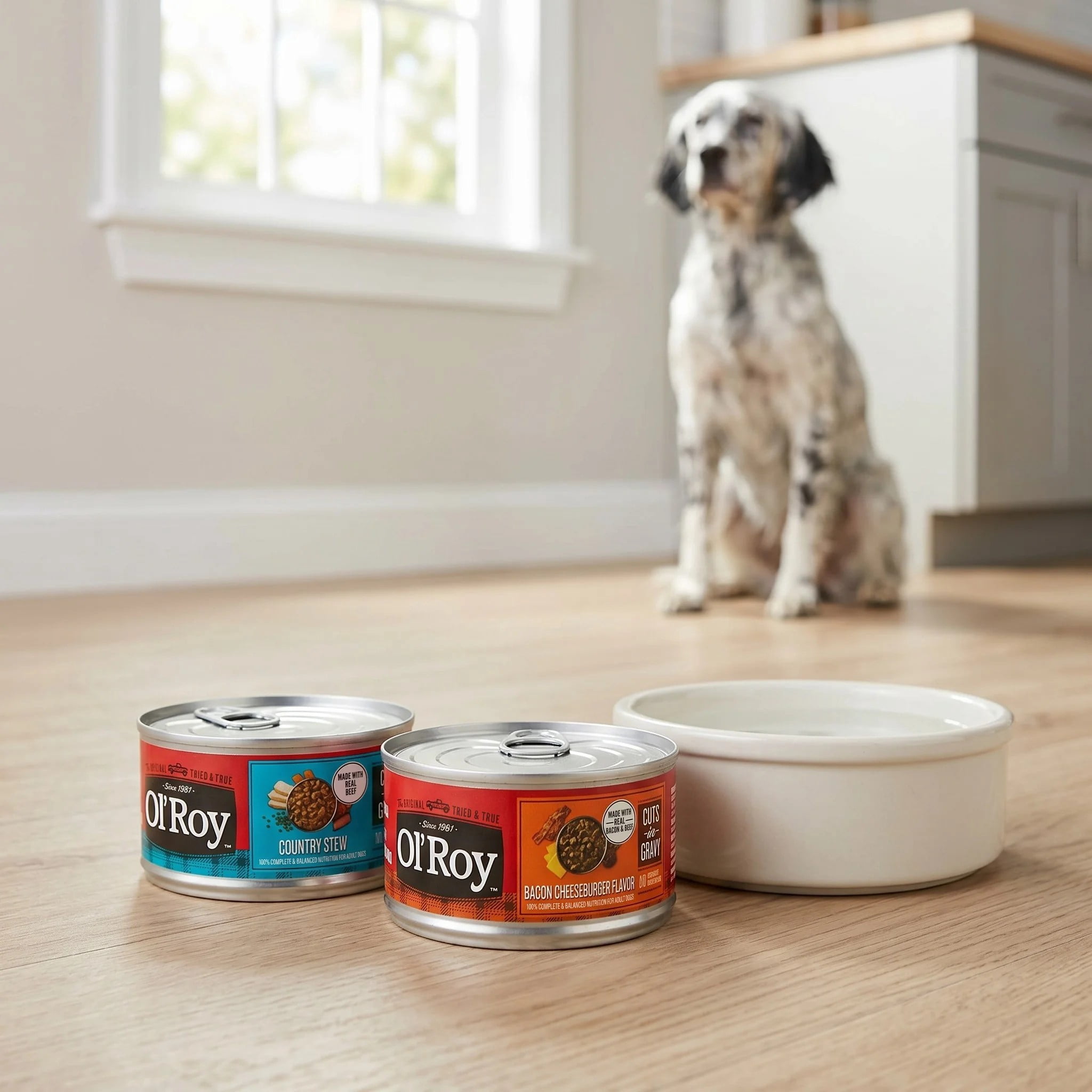 Ol' Roy Bacon Cheeseburger Flavor & Country Stew Cuts in Gravy Wet Dog Food Variety Pack, 5.5 oz Cans, 24 Pack