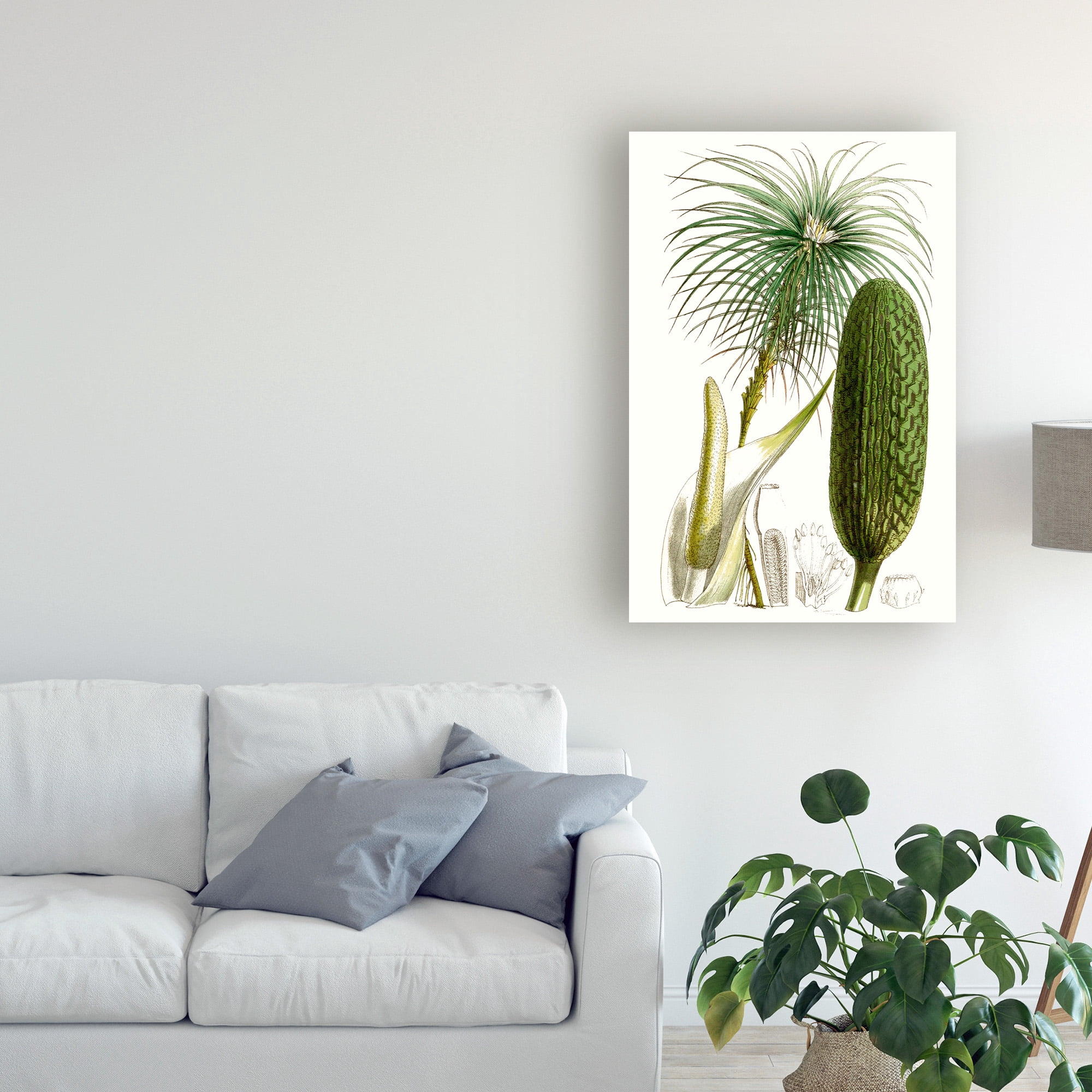 Trademark Fine Art 'Curtis Palms IV' Canvas Art by Curtis