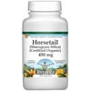 TerraVita Horsetail (Shavegrass Silica) - 450 mg, (Organic, 100 Capsules, 1-Pack, Zin: 518602)