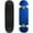 Color6, variant on royal blue background black border cool blue color background book Outdoor Skateboard Longboards 31"x8" Pro Complete Skate Board Cruiser