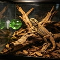 thumbnail image 4 of Transparent Reptile Feeder Dish Elevated Suction Cup Bowl For Gecko Escape Proof Live Glass Terrarium Feeding, 4 of 5