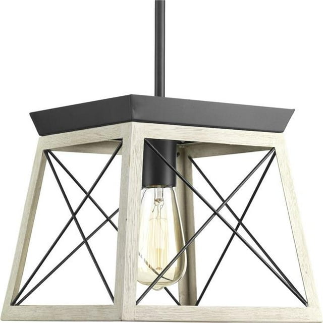 Progress Lighting P500041-143 9 in. Briarwood 1-Light 100W Med Mini-Pendant Ceiling Light in Graphite