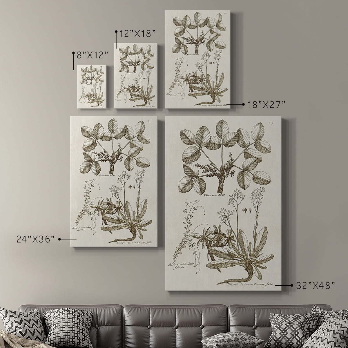 Sepia Botanical Journal VI Premium Gallery Wrapped Canvas - Ready to Hang