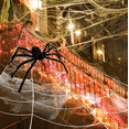 thumbnail image 6 of Stretchy Halloween Spider Silk, 20G Fake SPIDER Silk with 2 Pcs Plastic SPIDER, Spooky Stretch SPIDER Webbing for Indoor & Outdoor Halloween Party Decorations,Orange, 6 of 6