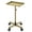 Gold, variant on K-Salon Tray Cart, Premium Aluminum Tattoo Tray Rolling Trolley, Adjustable Height, Easy to Clean (Purple)