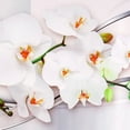 thumbnail image 5 of 16X47" Blanc Moderne Abstrait Magnolia Fleur Art Mural Impression Toile Décor à la Maison (Sans Cadre), 5 of 5