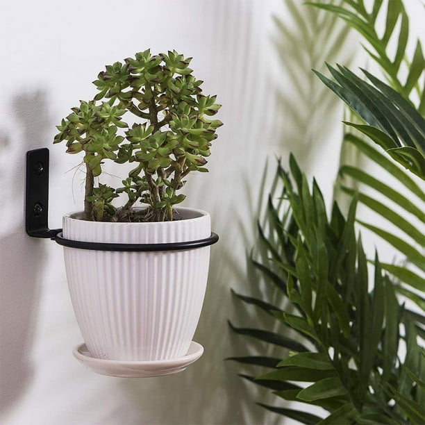 Plant pot hanging rings new arrivals