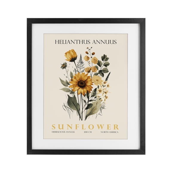 Stupell Industries Traditional Natural Sunflower Bundle Black Framed Print Under Glass, 13 x 16, by Christopher Giampietro
