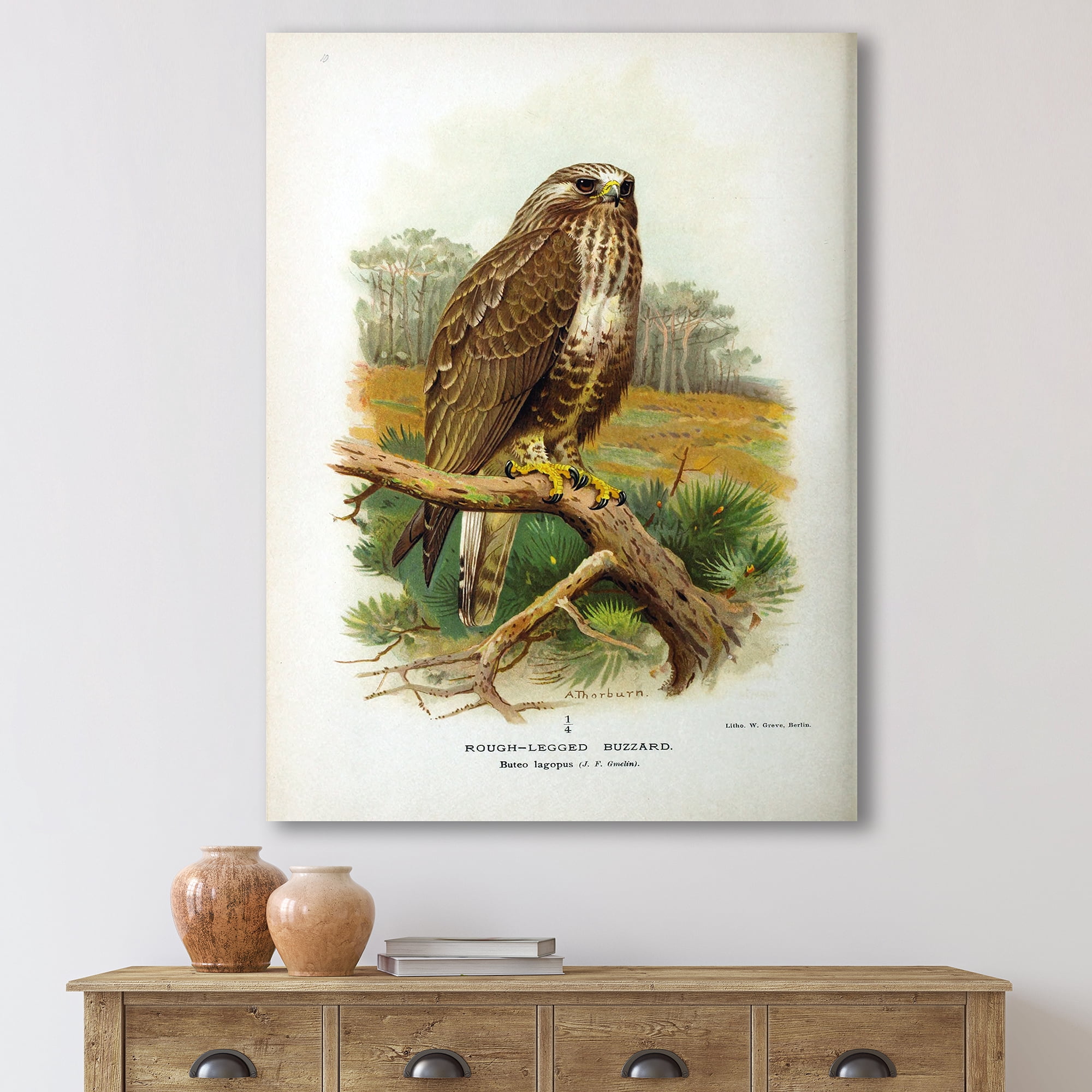 Designart ' Ancient Bird Life IX ' Traditional Canvas Wall Art Print