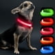 thumbnail image 1 of Collar LED Visinite Light Up para perros pequeños, color rosa, 1 of 7