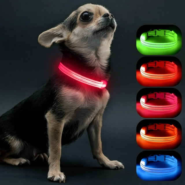 Collar LED Visinite Light Up para perros pequeños, color rosa