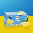 thumbnail image 6 of (3 pack) Dole Fruit Bowls Snacks No Sugar Added^^ Pineapple Tidbits, 4 oz Cups (12 Pack), 6 of 13